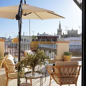 Cathedral Views , Seville Spain